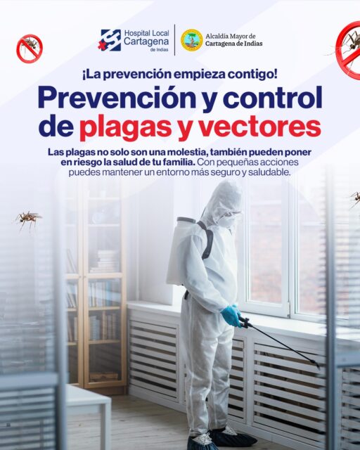 🚫 ¡La prevención empieza contigo!

Las plagas y los vectores no solo son una molestia; también pueden transmitir enfermedades que ponen en riesgo la salud de tu familia.

Con acciones sencillas como mantener los espacios limpios, eliminar recipientes con agua estancada y manejar adecuadamente los residuos, puedes contribuir a un entorno más seguro y saludable.

💬 Cuéntanos en los comentarios: ¿qué medidas aplicas en casa para prevenir la proliferación de mosquitos y otras plagas?
