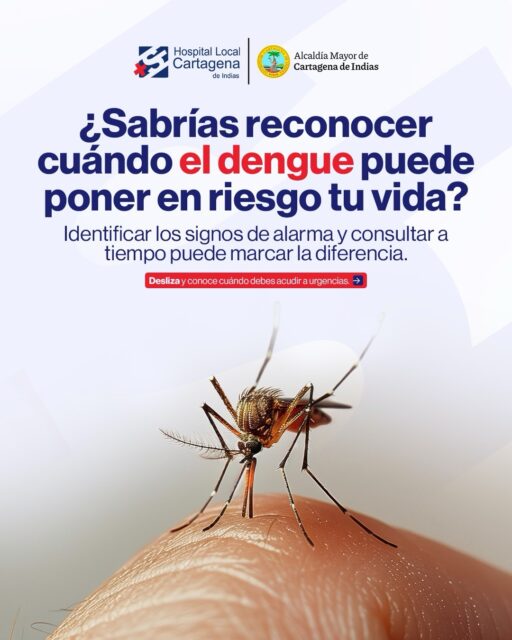 🦟 El dengue no siempre da señales claras. Pero reconocer sus signos de alarma puede hacer la diferencia.

Fiebre, dolor de cabeza y malestar pueden ser algunos de sus síntomas, pero cuando aparecen signos de alarma, no hay que esperar. 🚨

👉 Desliza este carrusel y conoce cuándo debes acudir a urgencias y qué señales debes tener en cuenta.

❤️‍🩹 Actuar a tiempo también es cuidar tu vida y la de quienes más quieres.

💬 Comparte este contenido con familiares y amigos. La información también puede salvar vidas.

#Dengue #SignosDeAlarma #Prevención #Salud #Cartagena