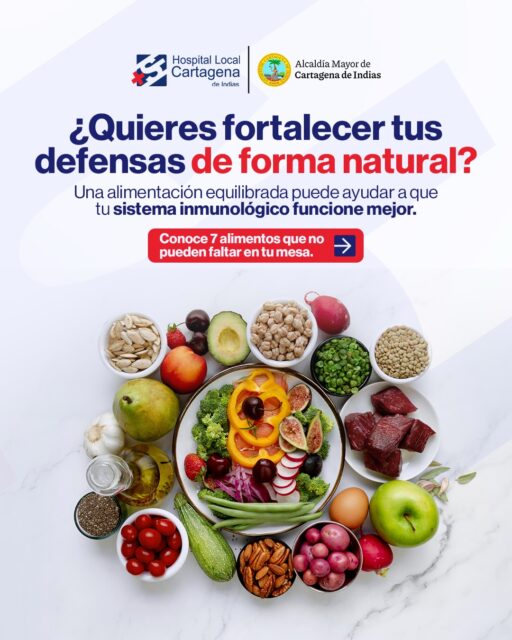 🥗💙 ¿Quieres fortalecer tus defensas de forma natural?

Cuidar tu alimentación no significa complicarte: pequeños cambios en lo que pones en tu plato pueden marcar una gran diferencia. Una alimentación variada puede ayudarte a cuidar tu bienestar y darle a tu organismo los nutrientes que necesita cada día.

👉 Desliza, toma nota y empieza a agregar más opciones saludables en tus comidas.

💬 Cuéntanos en los comentarios: ¿cuál de estos alimentos vas a incluir más en tu alimentación?