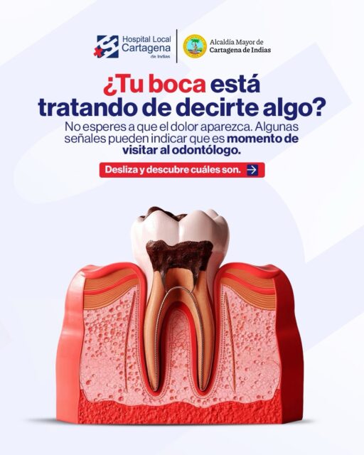 🦷✨ Tu boca también te habla… ¿estás escuchando sus señales?

No esperes a sentir dolor para cuidar tu salud bucal. Detectar a tiempo algunos cambios puede ayudarte a prevenir complicaciones y mantener una sonrisa saludable.

👉 Desliza el carrusel y conoce las señales que indican que es momento de visitar al odontólogo.

Cuida tu sonrisa hoy para disfrutarla siempre.

💬 ¿Cuándo fue tu última visita al odontólogo? Cuéntanos en los comentarios.