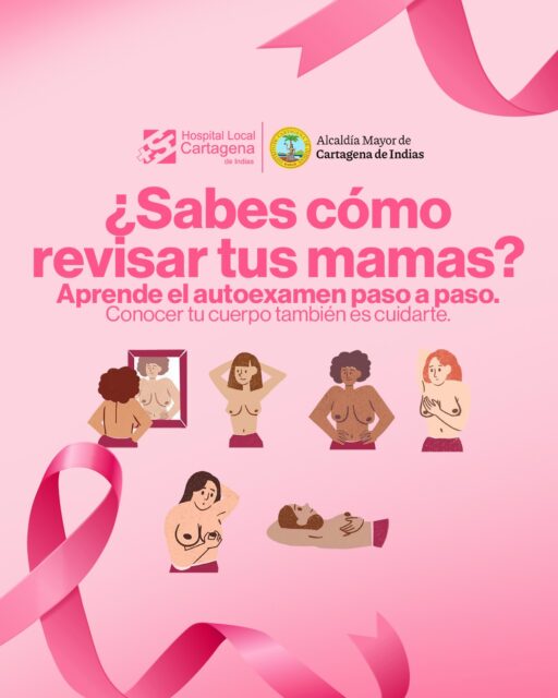 🎀💗 ¡Hoy comienza Octubre Rosa!

Un mes para hablar de prevención, conocer nuestro cuerpo y recordar que la detección temprana puede marcar la diferencia.

👉 Desliza y aprende paso a paso cómo realizar el autoexamen de mama y reconocer cambios que requieren atención.

💞Conócete.Obsérvate.Consulta.

📍 Si notas algún cambio o tienes dudas, acércate a tu centro de atención más cercano y recibe orientación.