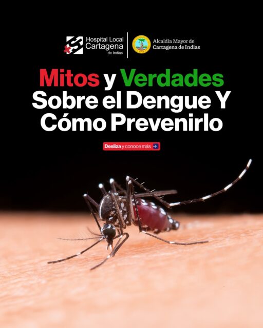 🦟🚫 ¡Con el dengue no te confíes! No todo lo que escuchamos es cierto.

Conocer los mitos y las verdades sobre esta enfermedad nos ayuda a prevenirla y proteger a nuestras familias. 💙

👉 Desliza el carrusel, aclara tus dudas y conoce acciones sencillas para evitar la reproducción del mosquito transmisor.

🏡 Recuerda: elimina el agua estancada, tapa los recipientes y mantén limpios patios y alrededores.

📲 Comparte esta información y ayúdanos a prevenir el dengue en Cartagena.